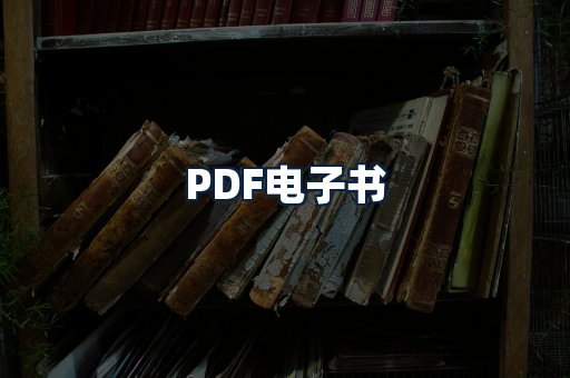 PDF电子书